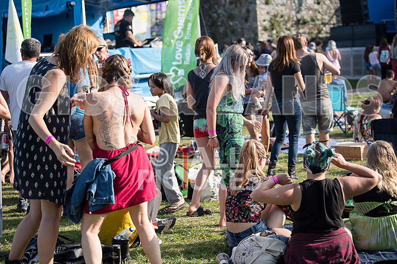 Vale Earth Fair 2017_SCENE-27 - VALE EARTH FAIR 2017_THE SCENE