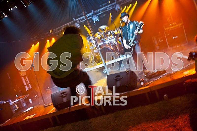 Greenman Scene-111 - PEPPERED ANT LEGS