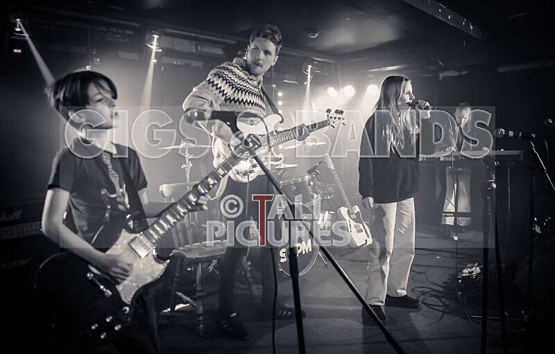 Hyperbolic Magnetism-22 - HYPERBOLIC MAGNETISM