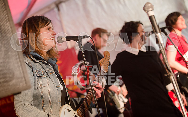 Swallows-17 - SWALLOWS