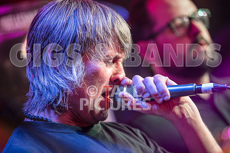 Thee Jenerators-563 - THEE JENERATORS