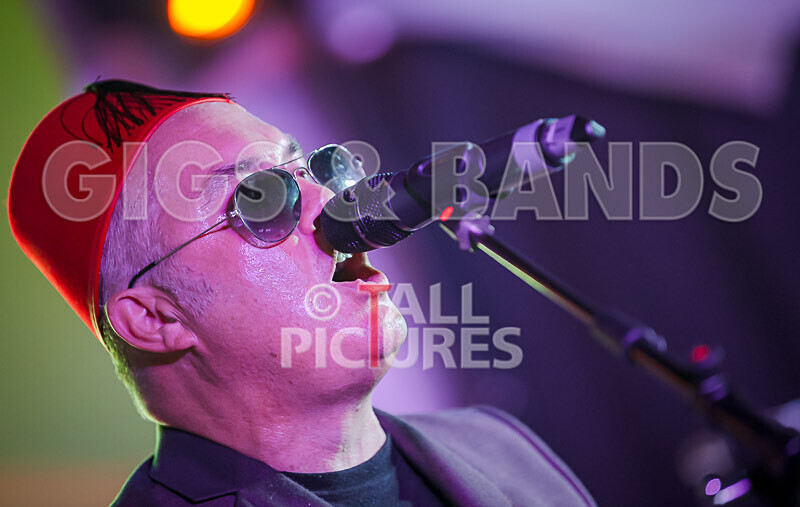 Sons of the Desert_Retro Festival_2020-425 - RETRO FESTIVAL 2020_SONS OF THE DESERT