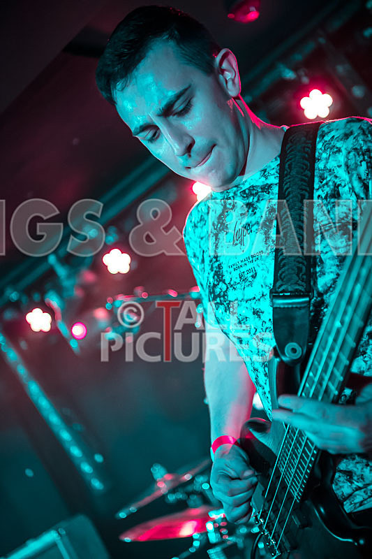 To the Woods-406 - TO THE WOODS