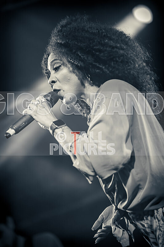 Hollie Cook-26 - HOLLIE COOK