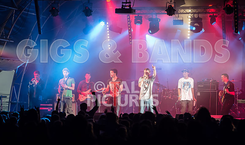 The Mouse Outfit-2 - THE MOUSE OUTFIT