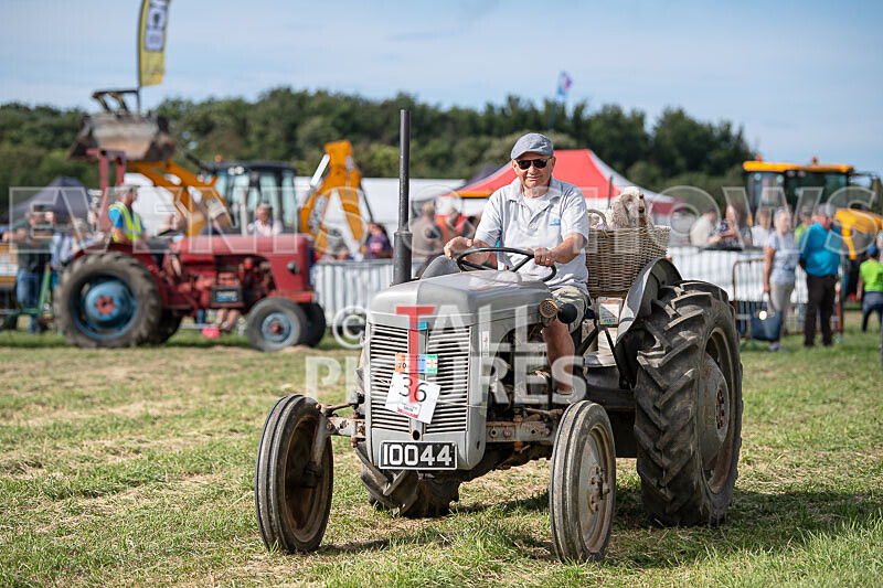 Guernsey Agricultural Show 2021-259 - GUERNSEY AGRICULTURAL SHOW 2021