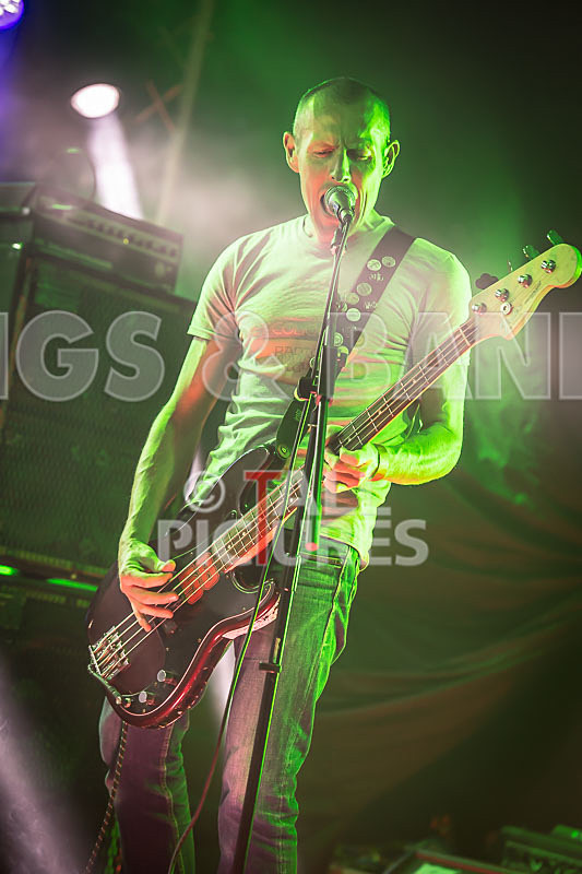 Falenizza Horsepower-90 - FALENIZZA HORSEPOWER