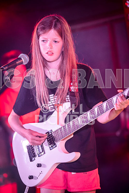 The Flaming Flamingos-10 - THE FLAMING FLAMINGOES