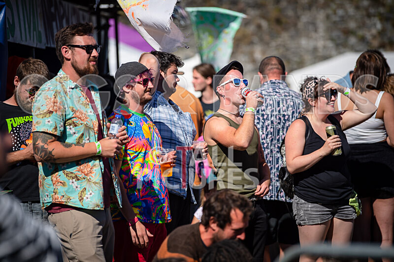 Vale Earth Fair 2020_THE SCENE-1 - VALE EARTH FAIR 2020_THE SCENE