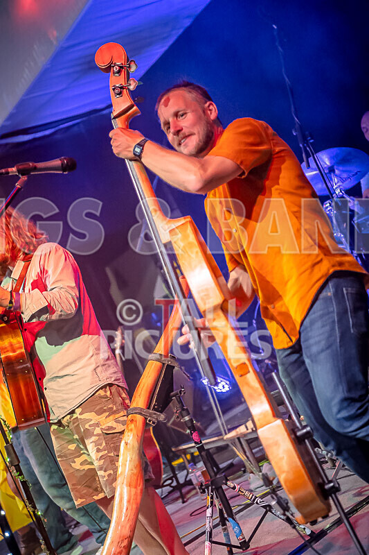 Buffalo Huddleston-604 - BUFFALO HUDDLESTON