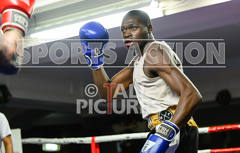 BOUT- 11 Casey De La Mare v Dimeji Shittu-42 - BOUT- 11_Casey De La Mare v Dimeji Shittu