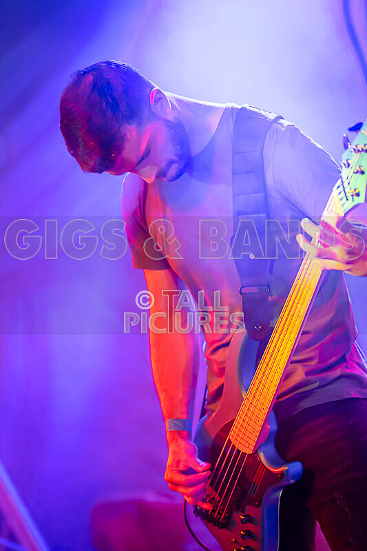 Demise of Sanity-253 - DEMISE OF SANITY