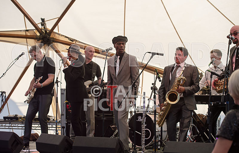 The Selecter-89 - THE SELECTER