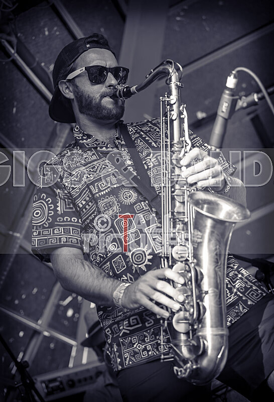 Pam Bindi-16 - PAM BINDI