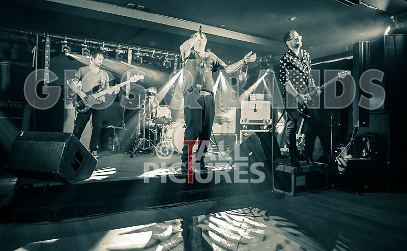 Gay Army-231 - GAY ARMY