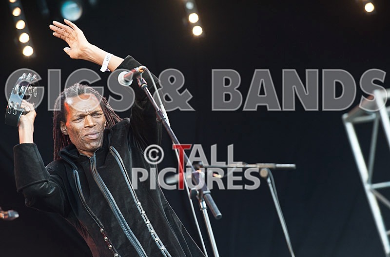 The Beat-48 - THE BEAT