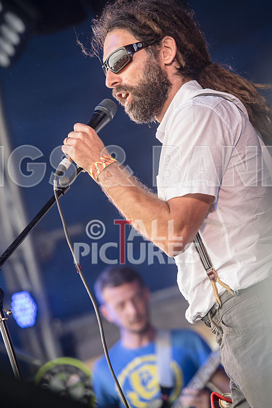 Benny the Moth-80 - BENNY THE MOTH