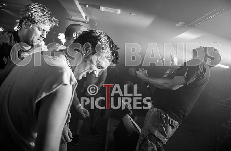 Peter and the Test Tube Babies-12 - PETER AND THE TEST TUBE BABIES