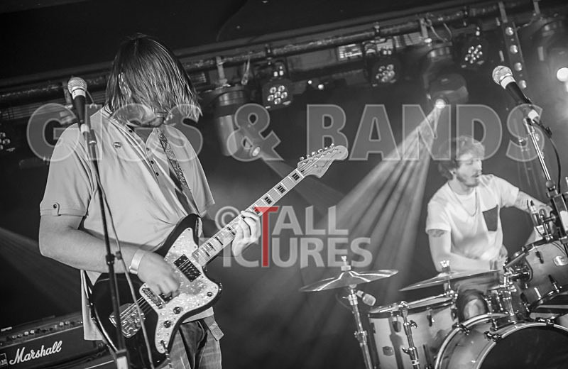 To the Woods-78 - TO THE WOODS