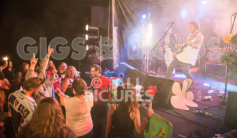 Near Bliss-74 - NEAR BLISS