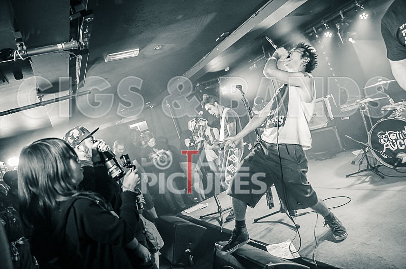 Morllyheads-61 - MORLLYHEADS