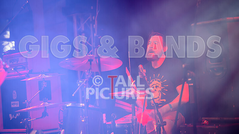 Pigsx7-103 - PIGS PIGS PIGS PIGS PIGS PIGS PIGS