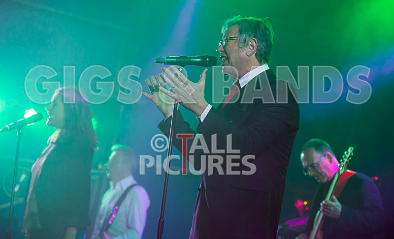 King Rat and the Soul Cats-194 - KING RAT AND THE SOUL CATS