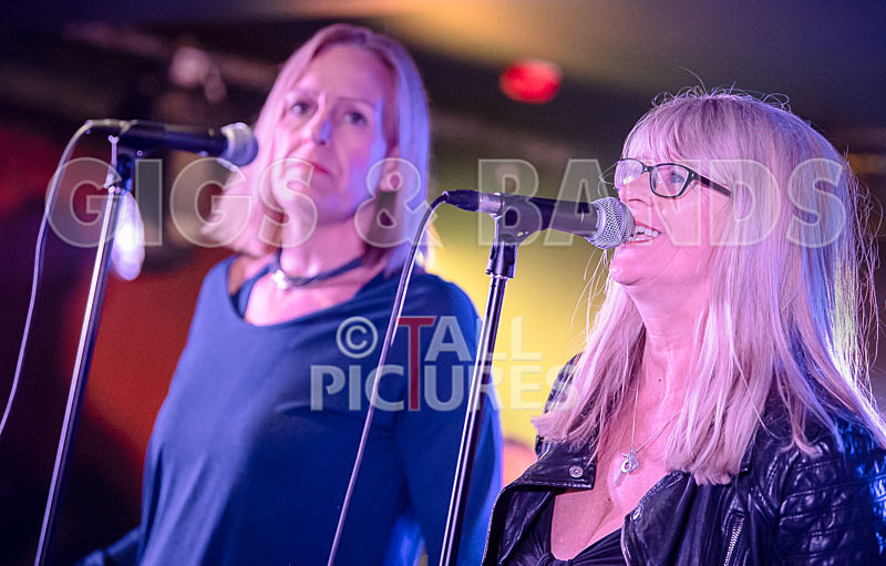 The KB Project-55 - THE KB PROJECT