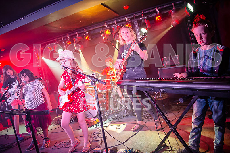 The Flaming Flamingos-4 - THE FLAMING FLAMINGOES