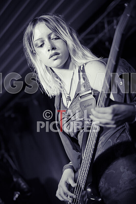 Road Kill Rubber Duckies-27 - ROAD KILL RUBBER DUCKIES