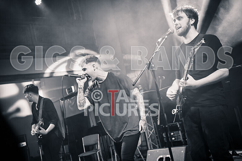 Eli Crossan-7 - THE GUESTS