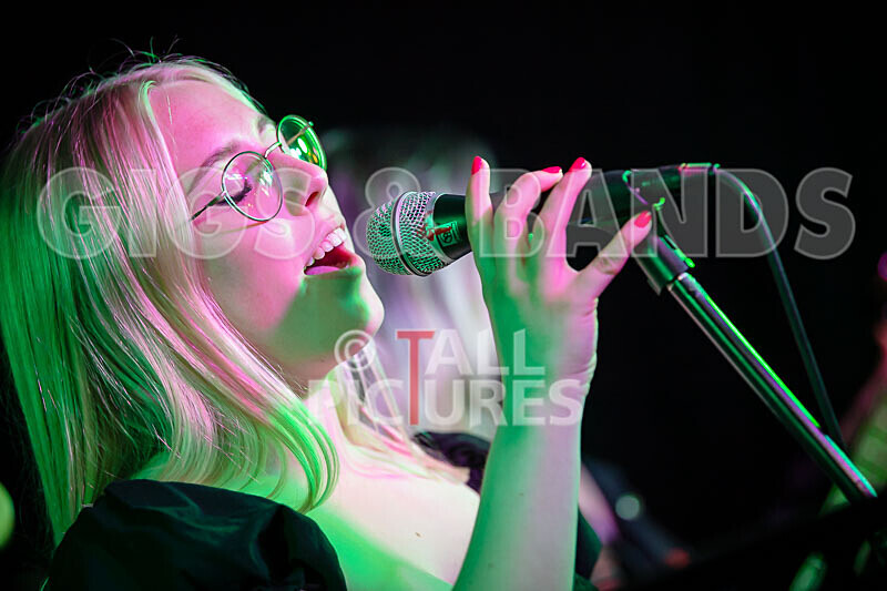 Road Kill Rubber Duckies-1 - ROAD KILL RUBBER DUCKIES