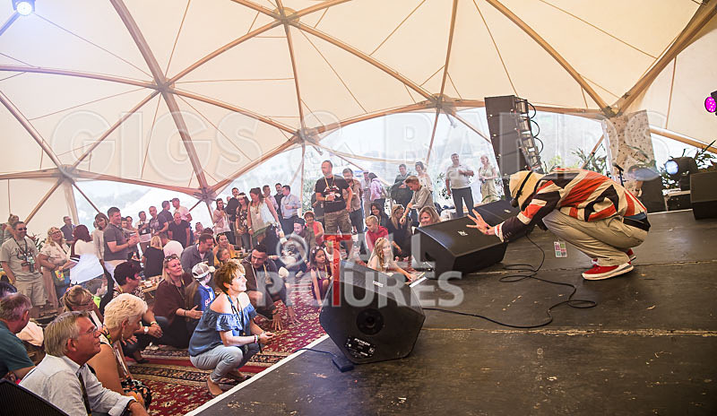 Professor Elemental-7 - PROFESSOR ELEMENTAL