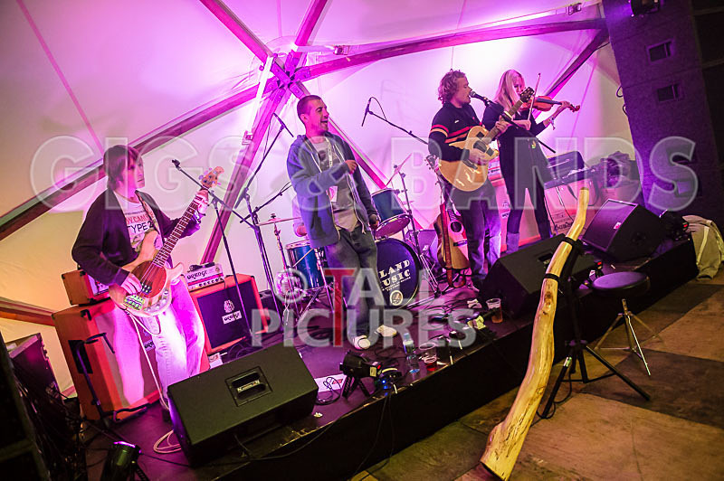 Buffalo Huddleston-244 - BUFFALO HUDDLESTON