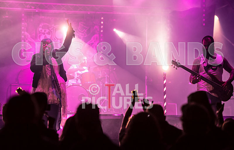 Static Alice-488 - STATIC ALICE