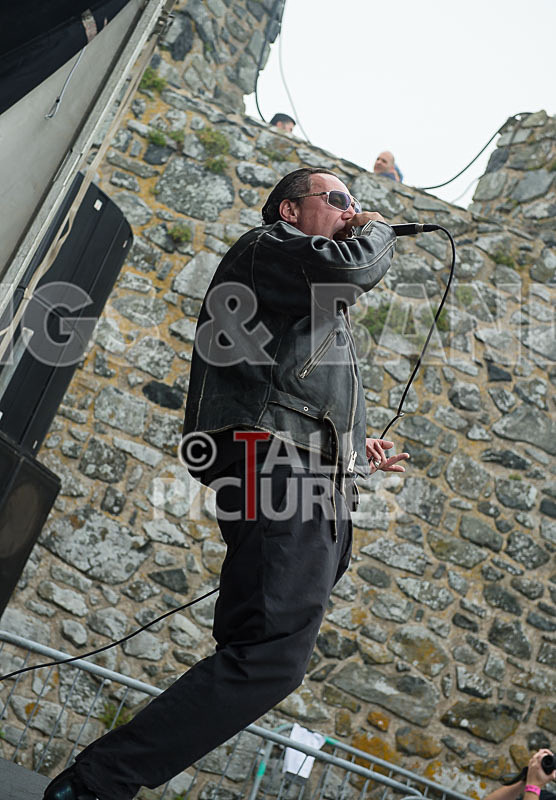 Gay Army-260 - GAY ARMY