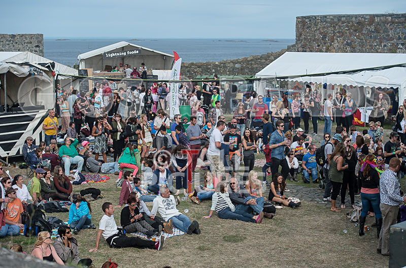 Vale Earth Fair_Atmosphere_2014-67 - VALE EARTH FAIR 2014 - THE ATMOSPHERE