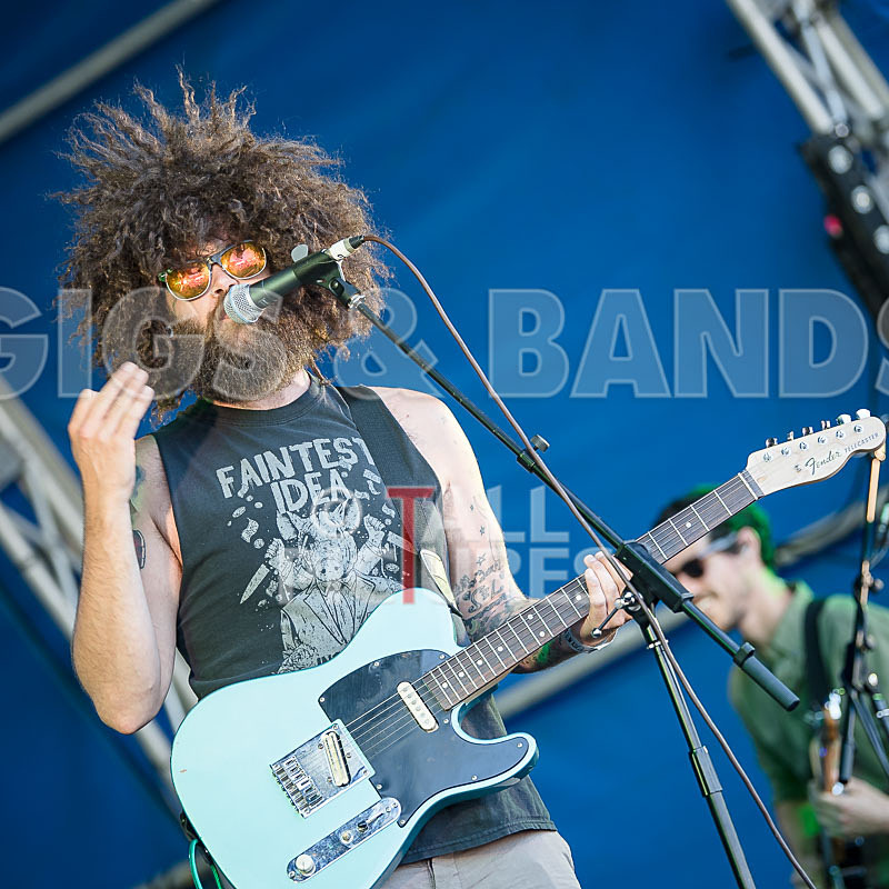 Tree House Fire-8 - TREE HOUSE FIRE