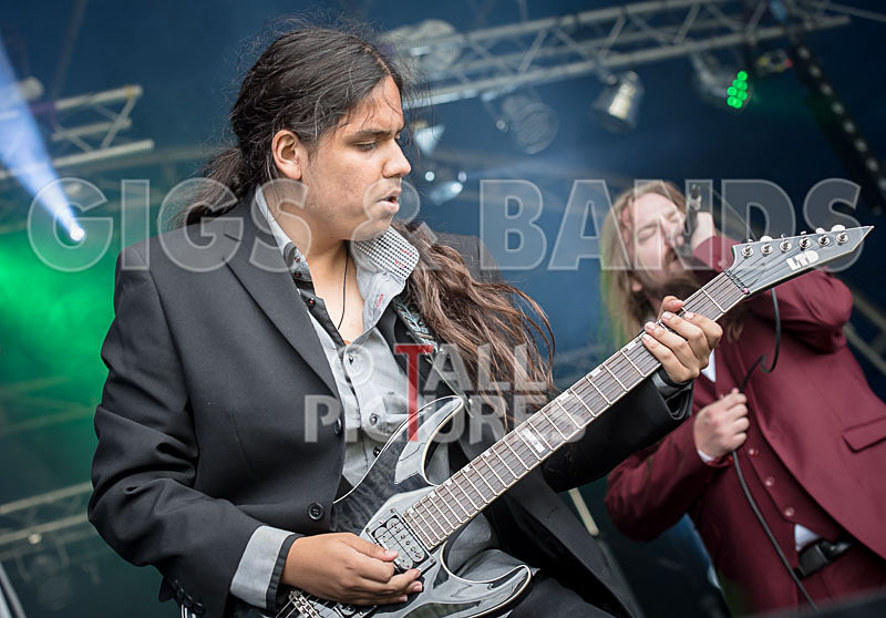 Stone Em All-289 - STONE EM ALL