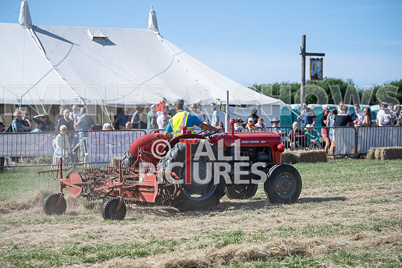 Guernsey Agricultural Show 2021-217 - GUERNSEY AGRICULTURAL SHOW 2021