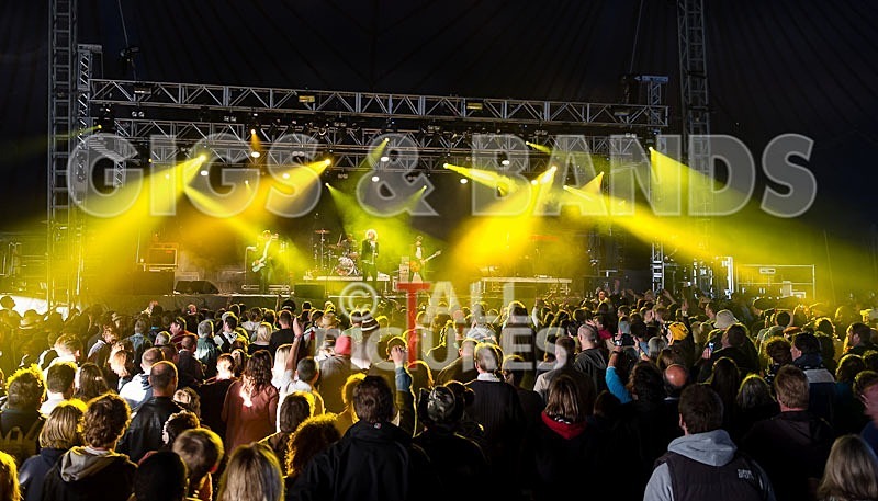 The Charlatans-20 - THE CHARLATANS