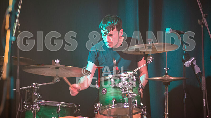 The Tarantulips-23 - THE TARANTULIPS