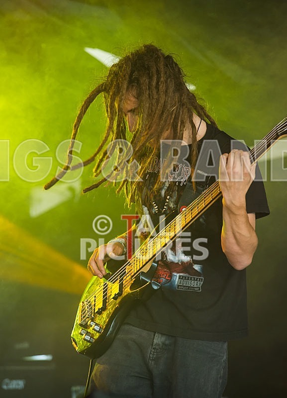 Distant Shores-6 - DISTANT SHORES