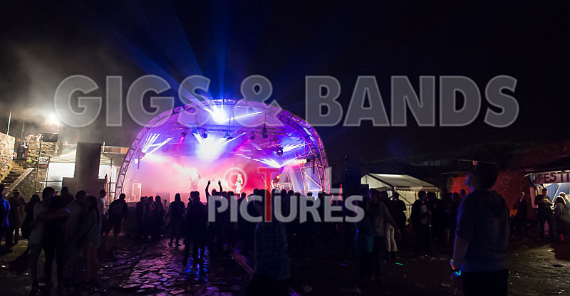 Vale Earth Fair 2015_Atmosphere-17 - VALE EARTH FAIR 2015_THE ATMOSPHERE