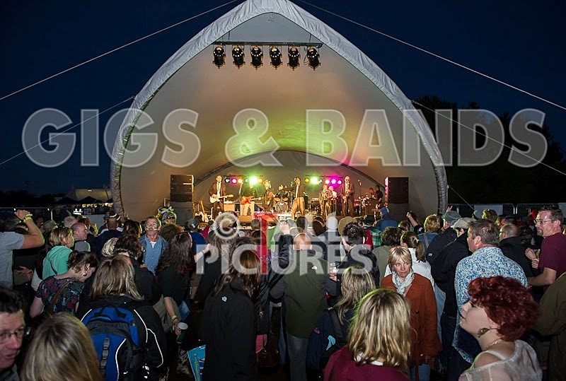 The Selecter-12 - THE SELECTER