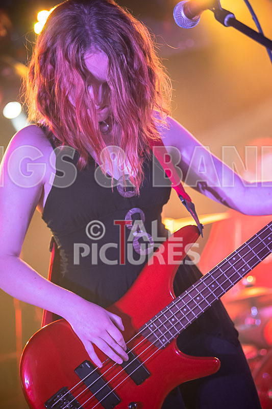 Unconventional Sponge-15 - UNCONVENTIONAL SPONGE