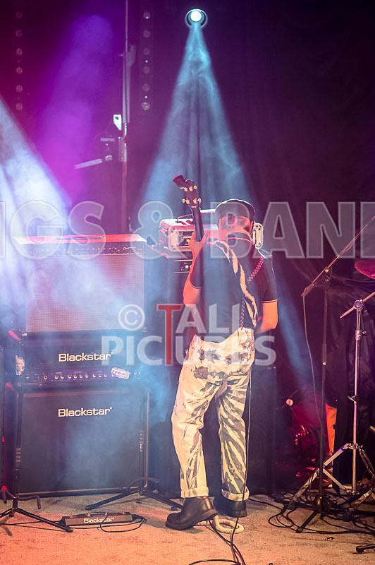 The Risk-390 - THE RISK