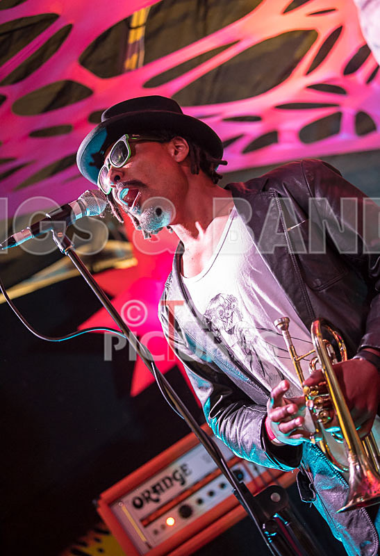 The Recks-683 - THE RECKS