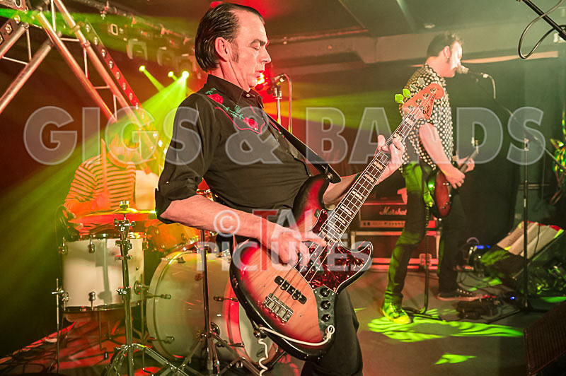 The Electric Shakes-2 - THE ELECTRIC SHAKES