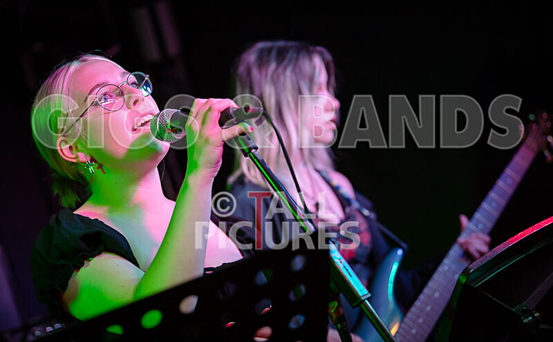 Road Kill Rubber Duckies-7 - ROAD KILL RUBBER DUCKIES